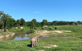 I Love Phants Lodge